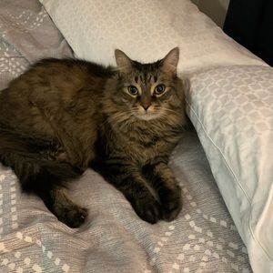 Meet your Posher, Tania